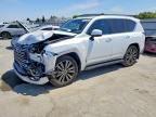 2026 LEXUS LX 600