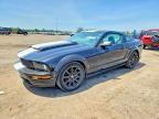 2008 FORD MUSTANG