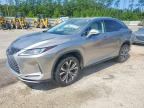 2020 LEXUS RX