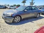 2010 HONDA ACCORD