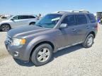 2011 FORD ESCAPE