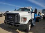 2019 FORD F650