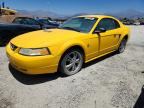 1999 FORD MUSTANG