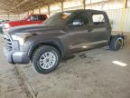 2025 TOYOTA TUNDRA