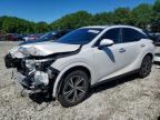 2024 LEXUS RX 350