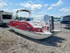 2019 CARA CARAVELLE
