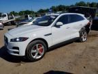 2019 JAGUAR F-PACE