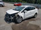 2017 KIA RIO