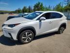 2019 LEXUS NX 300