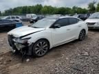 2019 NISSAN MAXIMA