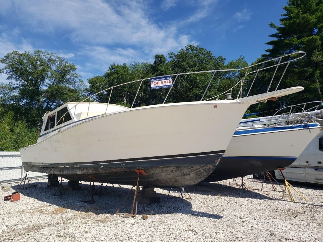 1986 VIKI LEGEND