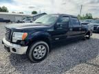 2012 FORD F150
