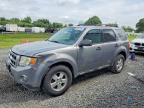 2008 FORD ESCAPE