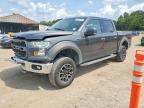 2017 FORD F150