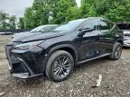 2026 LEXUS NX