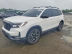2023 HONDA PASSPORT