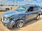 2011 FORD ESCAPE