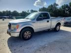 2013 FORD F150