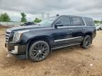 2019 CADILLAC ESCALADE
