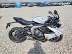 2025 TRIUMPH MOTORCYCLE DAYTONA
