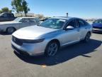 2025 HONDA ACCORD