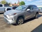 2021 TOYOTA RAV4 HYBRID