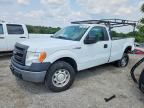 2013 FORD F150
