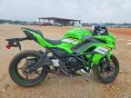 2025 KAWASAKI EX650