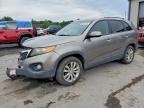 2011 KIA SORENTO