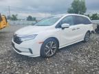 2024 HONDA ODYSSEY