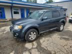 2009 FORD ESCAPE