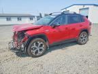 2021 TOYOTA RAV4 PRIME