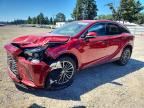 2025 LEXUS RX 350H