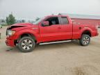 2010 FORD F150