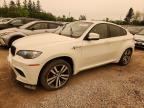 2011 BMW X6