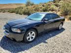 2014 DODGE CHARGER