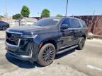2023 CADILLAC ESCALADE
