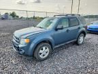 2011 FORD ESCAPE