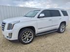 2017 CADILLAC ESCALADE