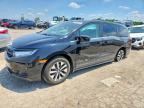 2025 HONDA ODYSSEY