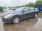 2010 NISSAN ALTIMA