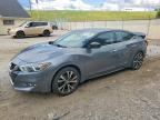 2017 NISSAN MAXIMA