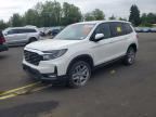 2024 HONDA PASSPORT