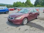 2010 HONDA ACCORD