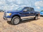 2010 FORD F150