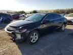 2019 CHEVROLET MALIBU