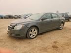 2009 CHEVROLET MALIBU