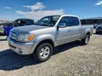2006 TOYOTA TUNDRA