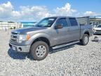 2013 FORD F150