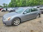 2008 NISSAN MAXIMA
